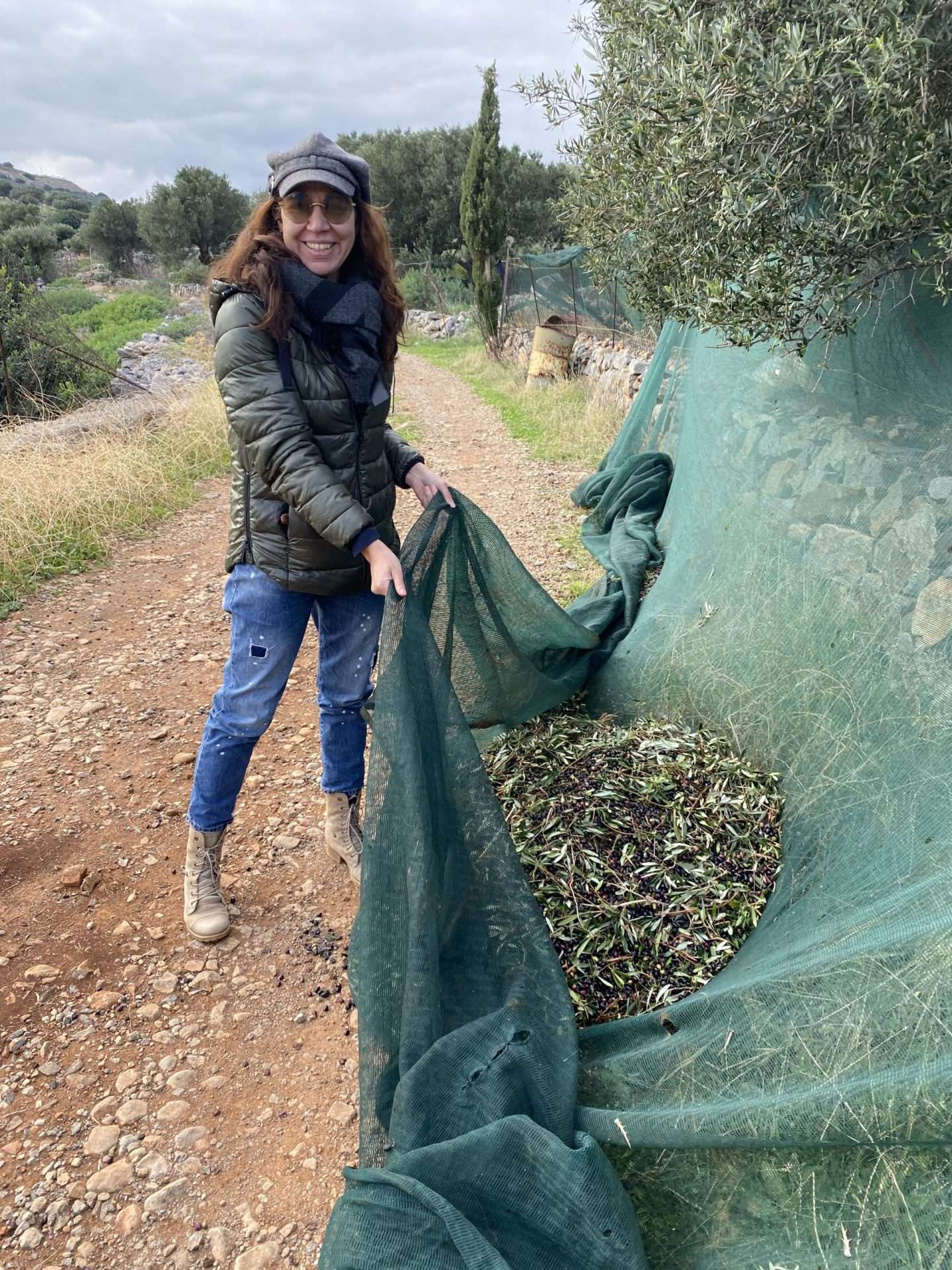 Taking part in the olive harvest in Crete