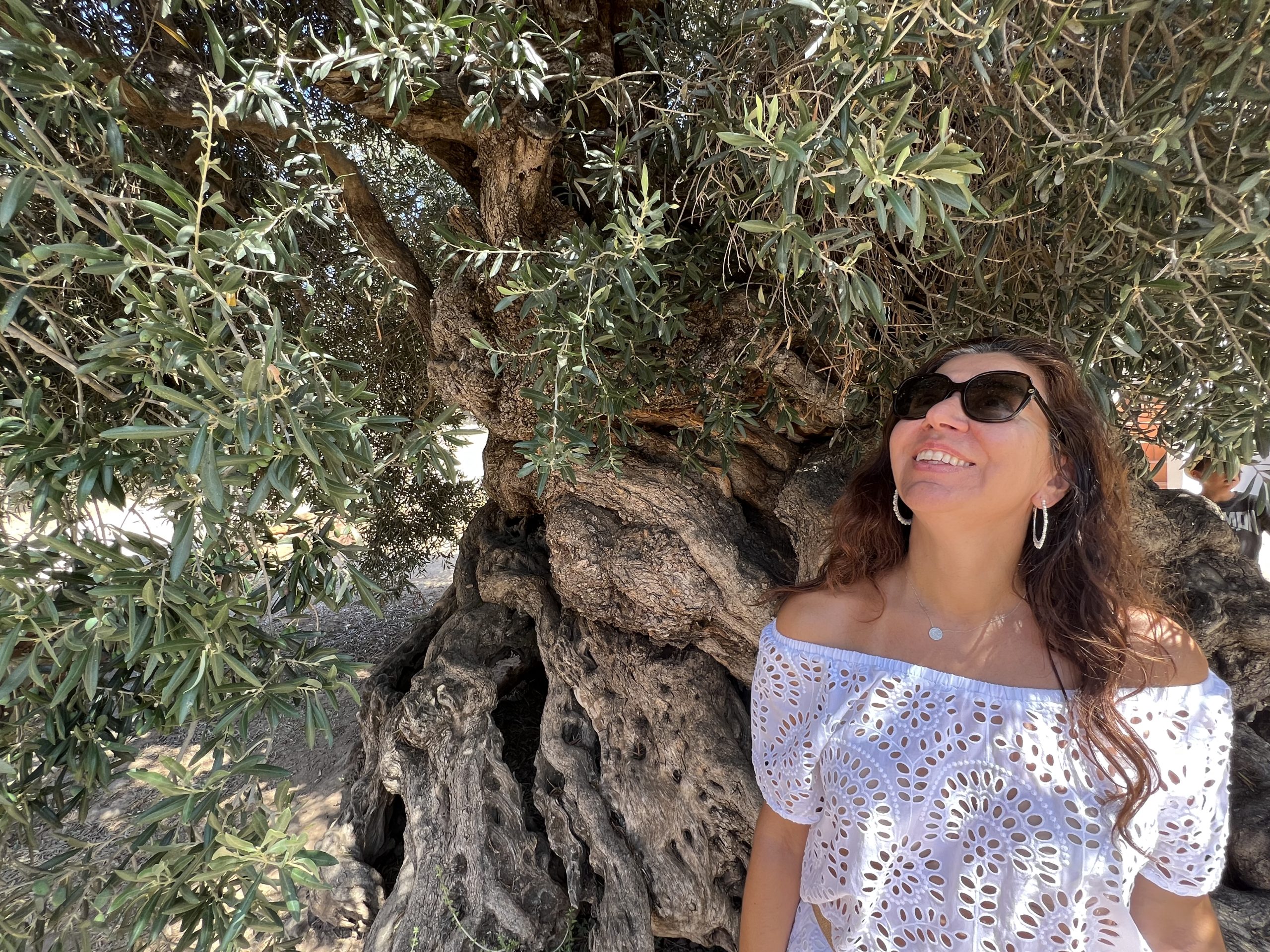Marisa beside an old olive tree